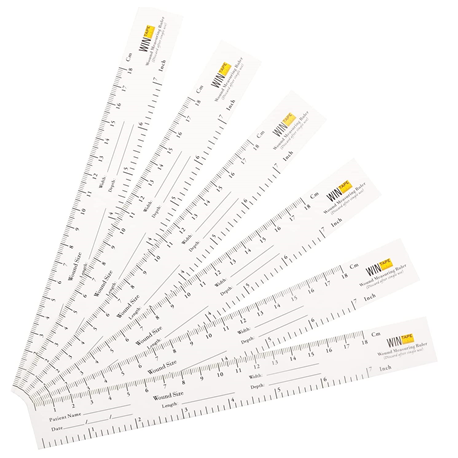Paper Wound Ruler, (18cm x 25mm) 100pcs/pack